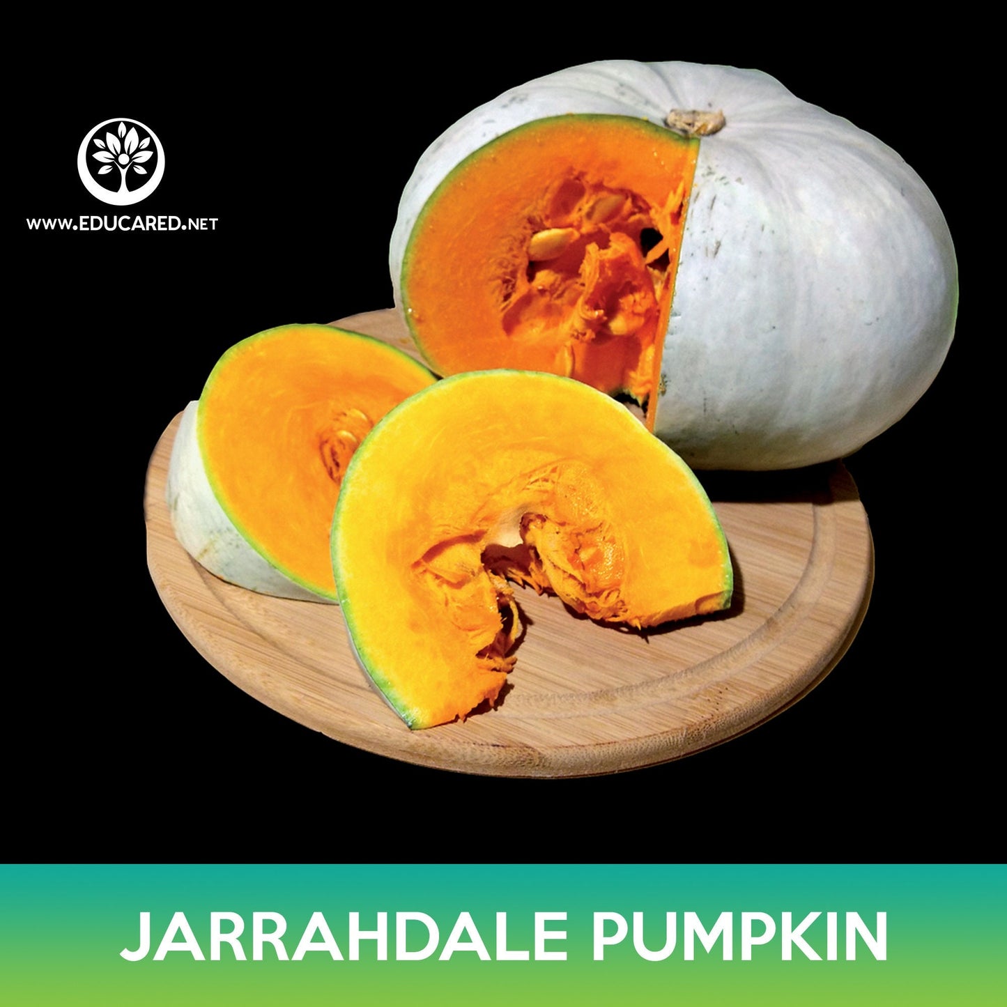 Jarrahdale Pumpkin Seeds