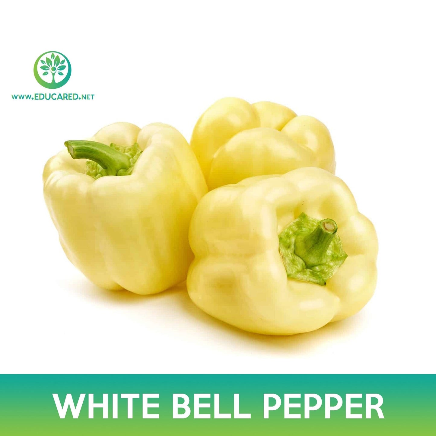 White Bell Pepper Seeds