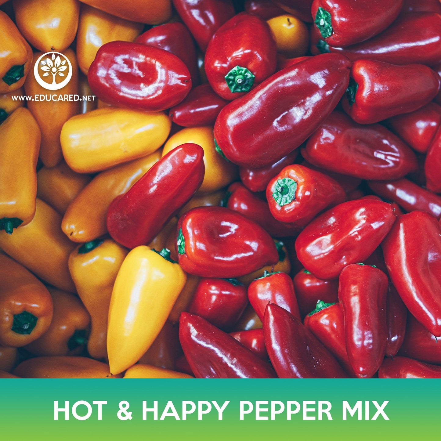 Hot and Happy Pepper Mix Seeds