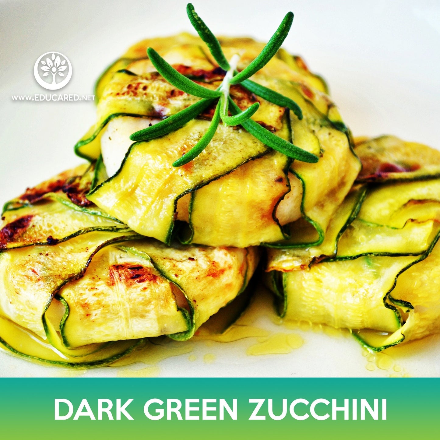 Dark Green Zucchini Seeds