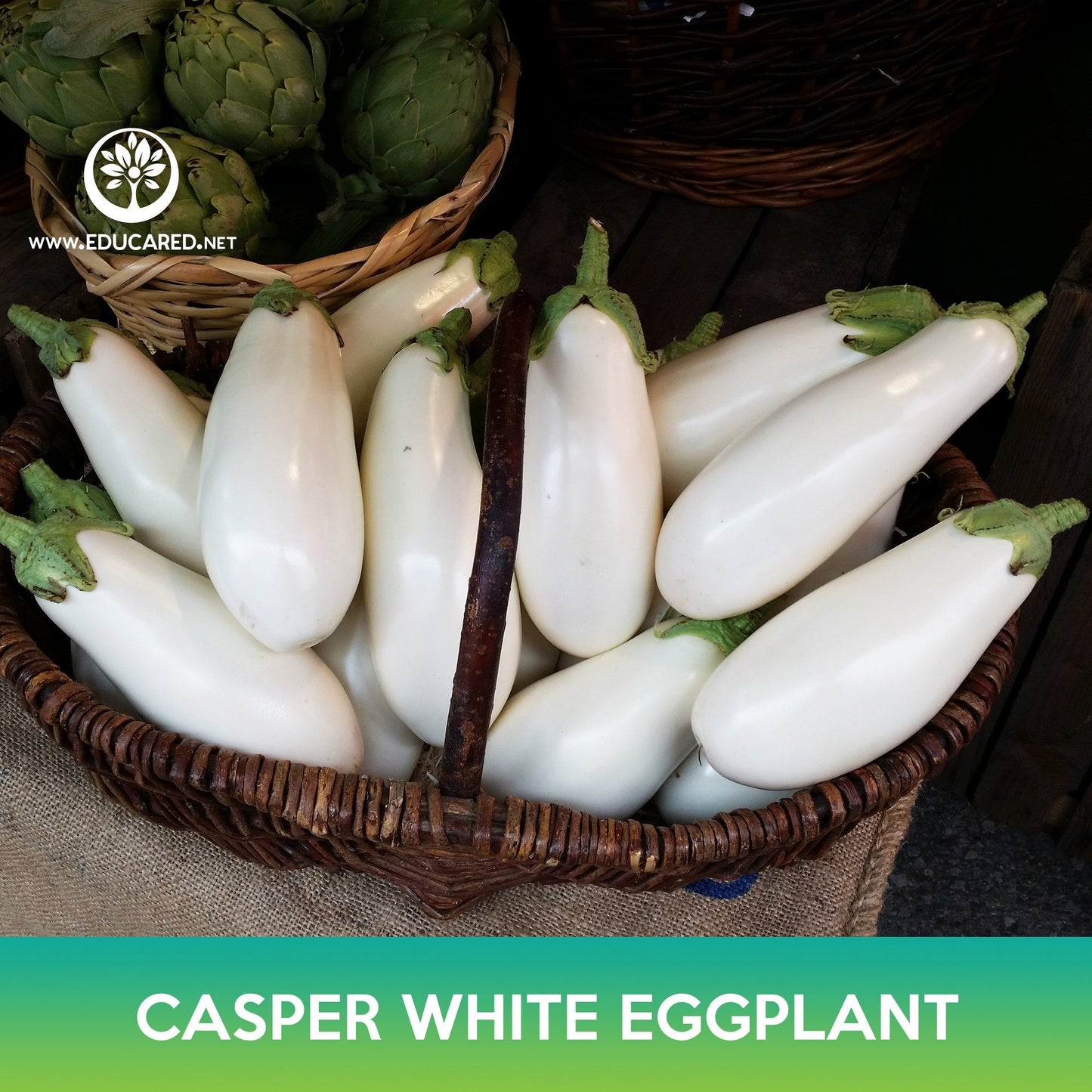 Casper White Eggplant Seeds