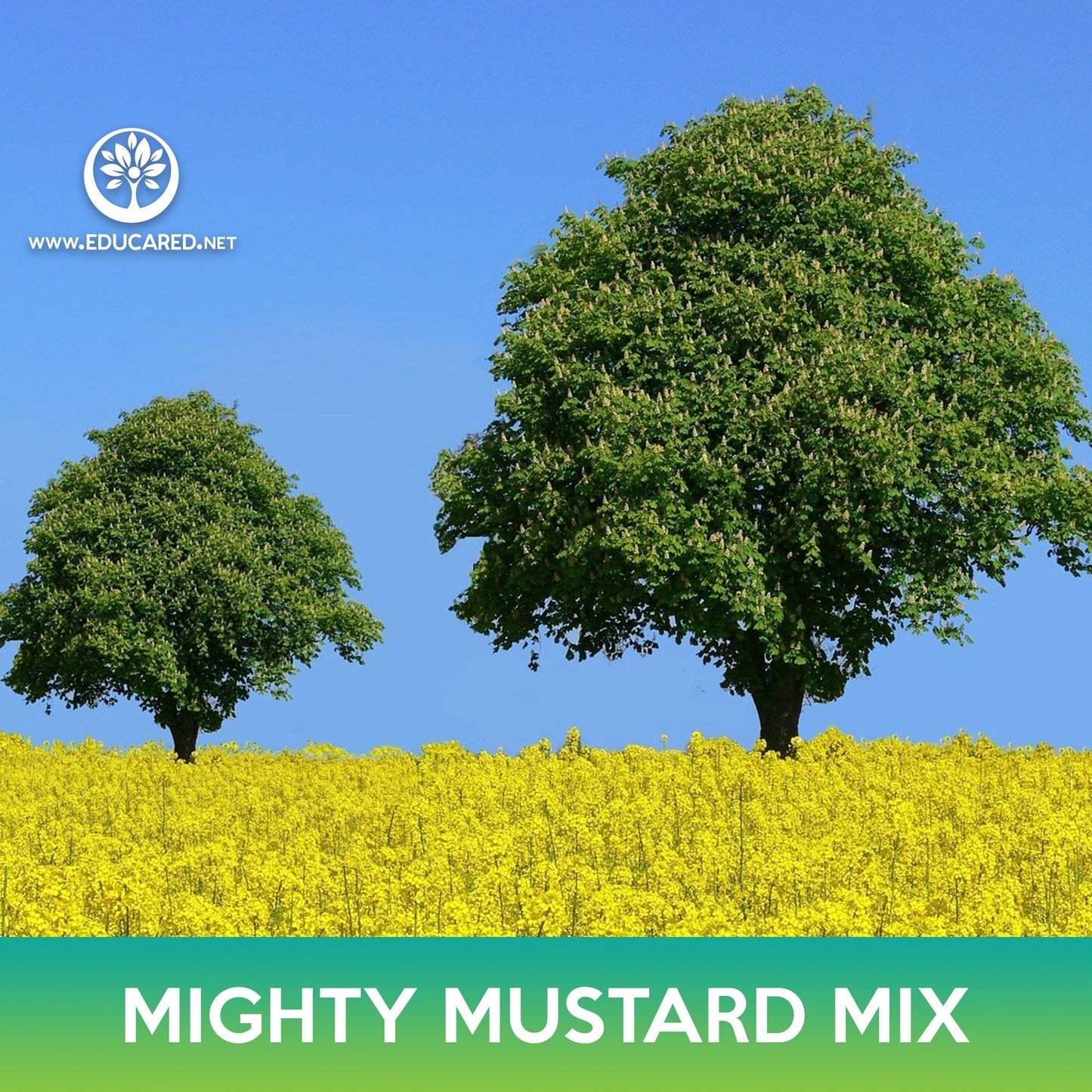Mighty Mustard Mix Seeds