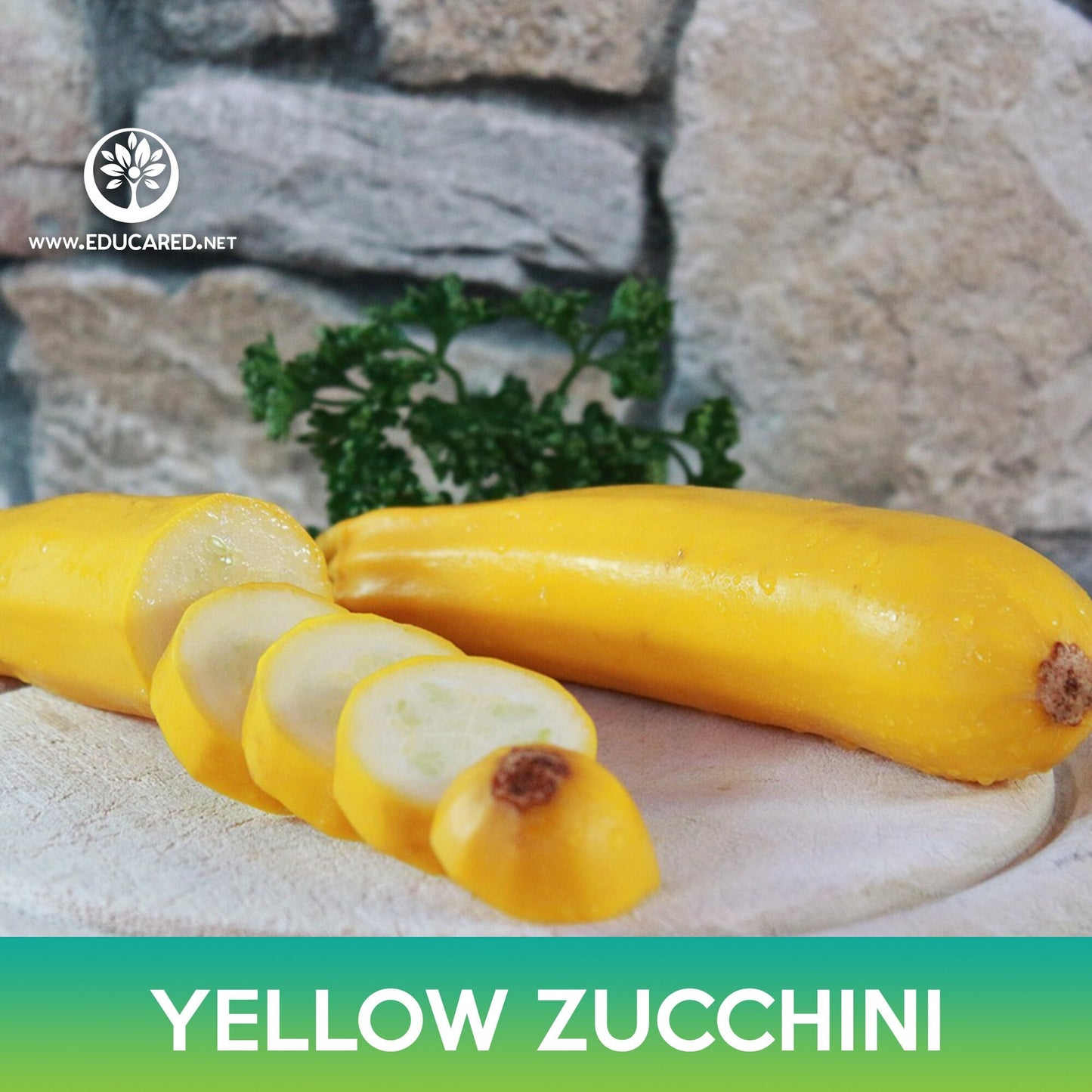 Yellow Zucchini Seeds