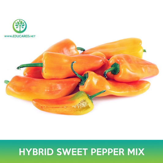 Hybrid Sweet Pepper Mix Seeds