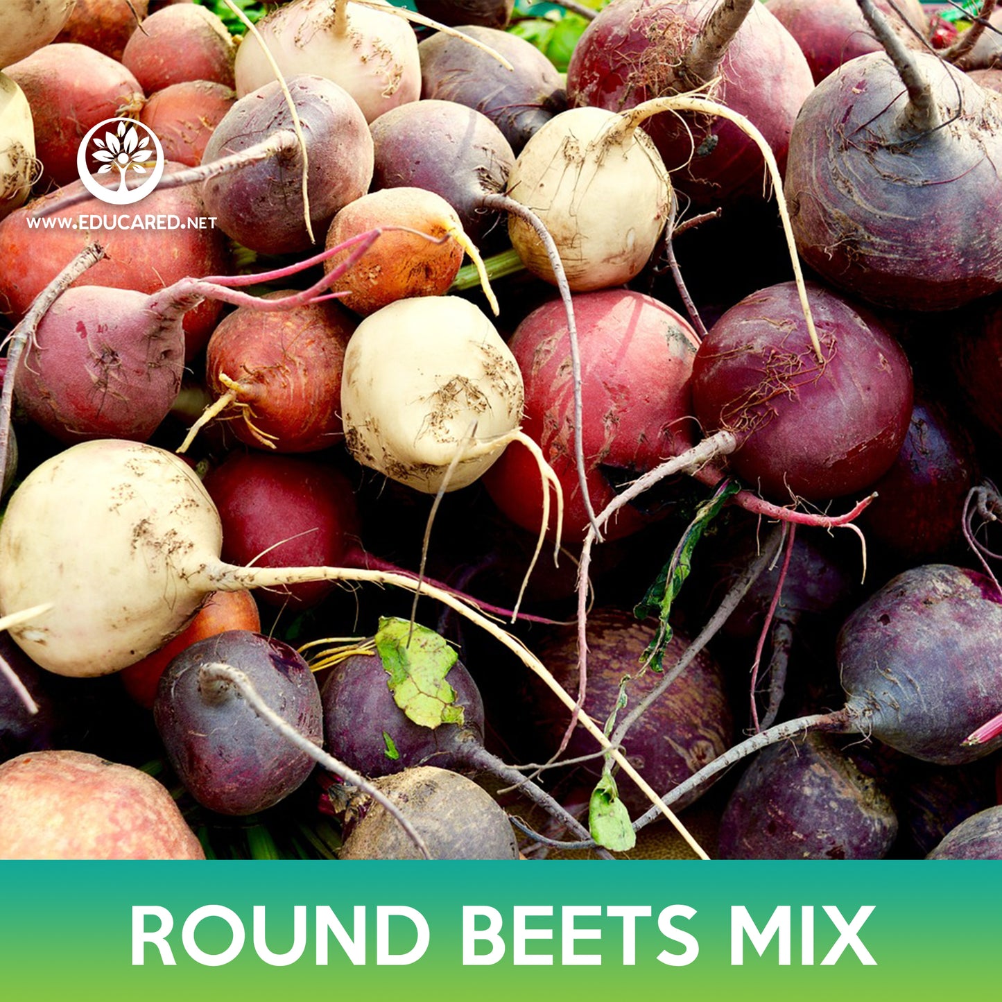 Round Beets Mix Seeds