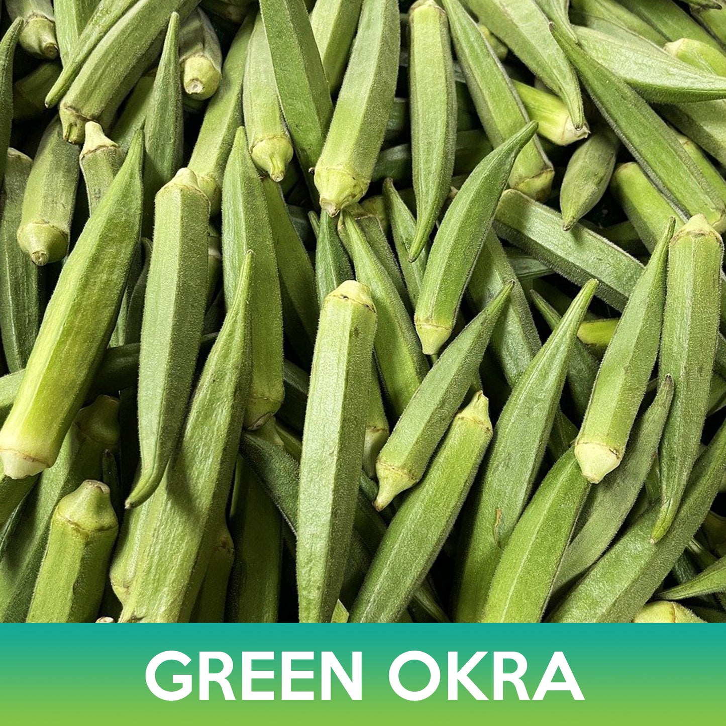 Green Okra Seeds, Clemson Spineless 80 Okra Seeds