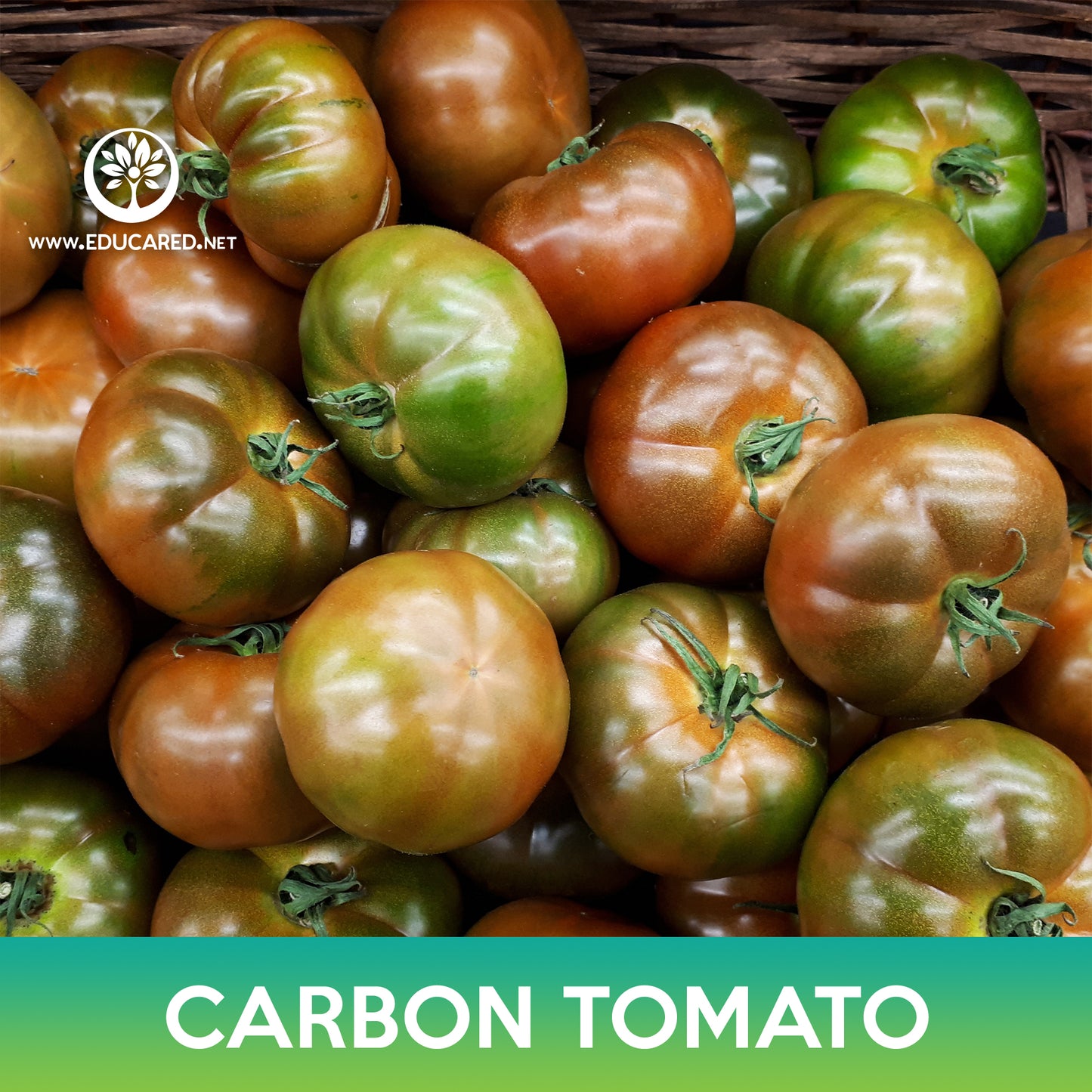 Carbon Tomato Seeds