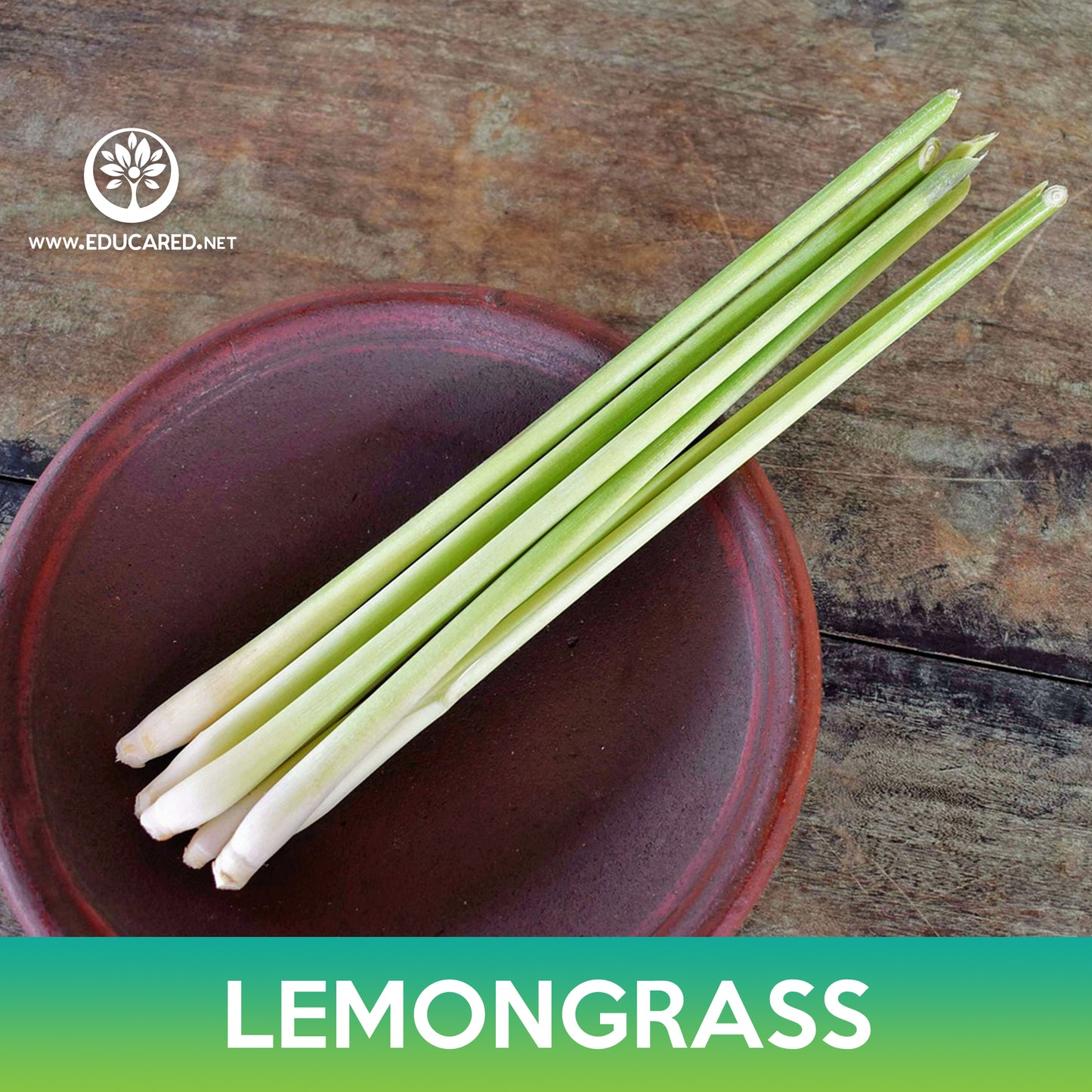 Lemongrass Seeds, Cymbopogon