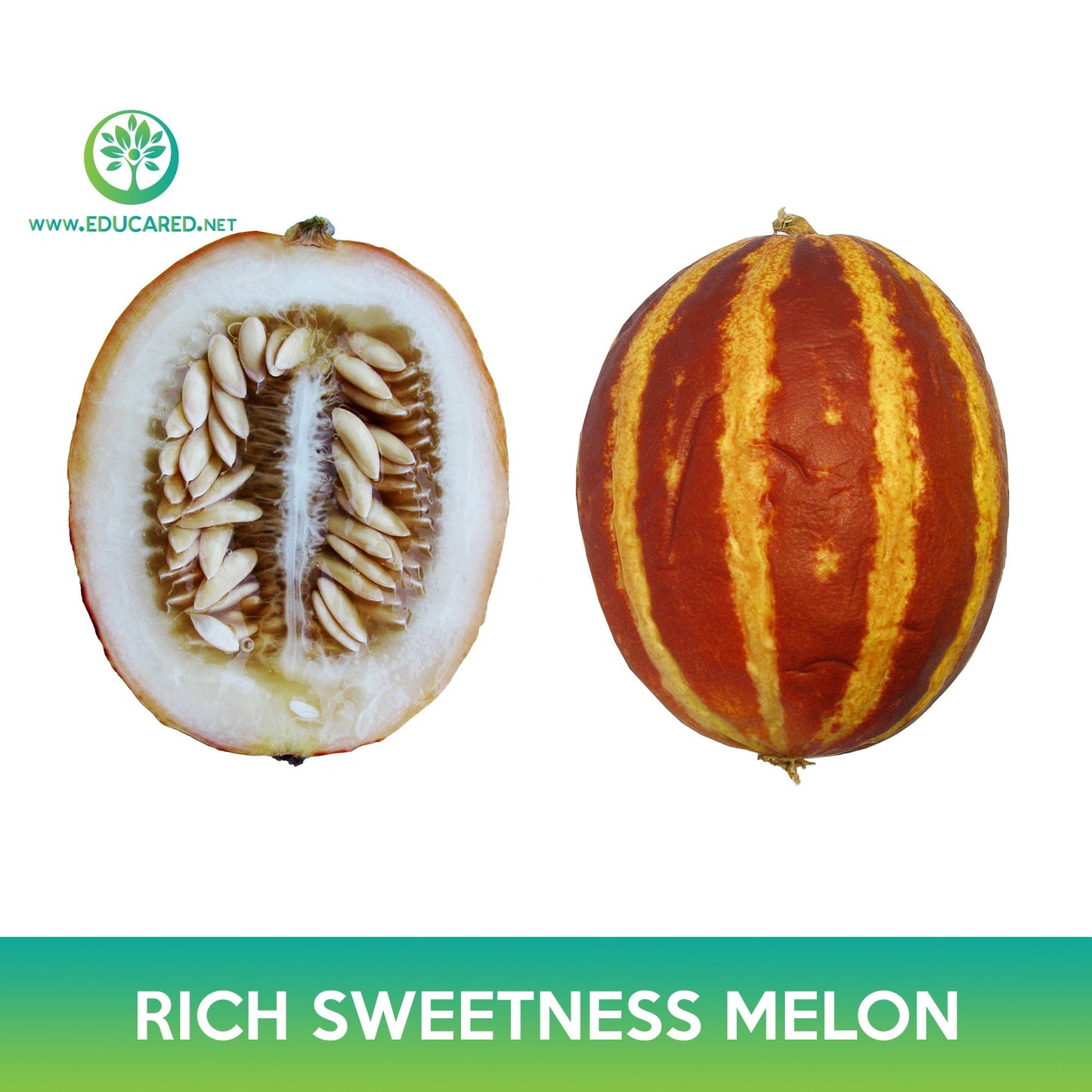 Rich Sweetness Melon Seeds