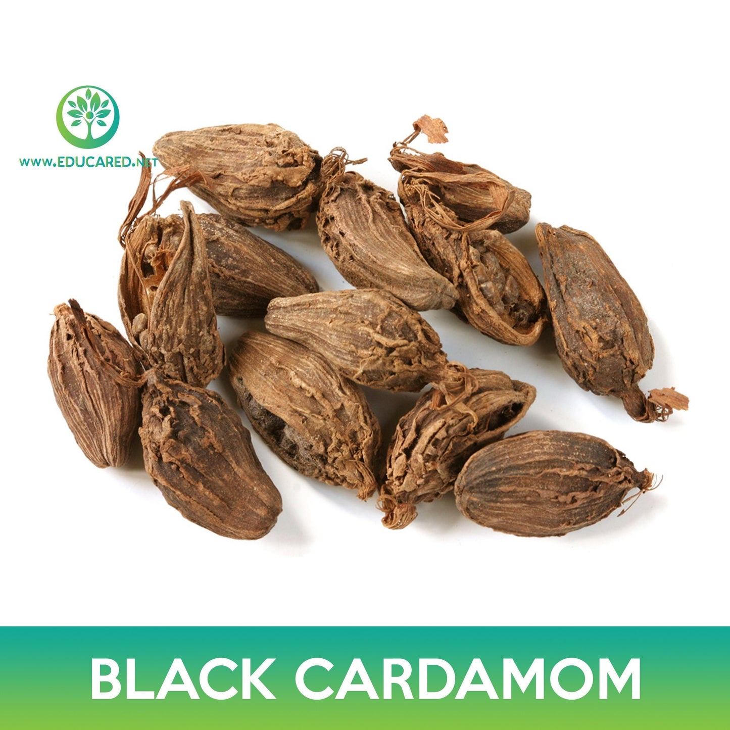 Black Cardamom Seeds