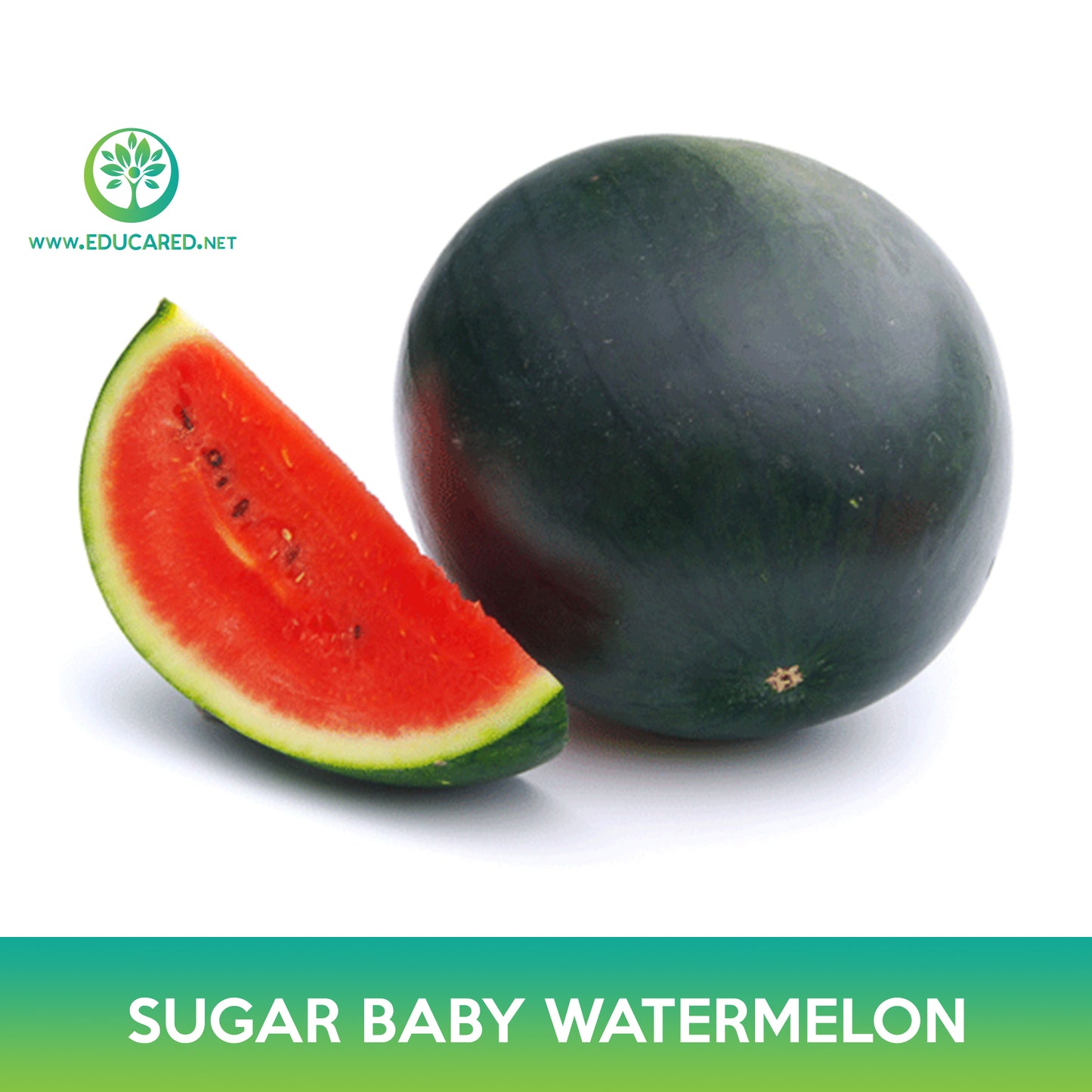 Sugar Baby Watermelon Seeds