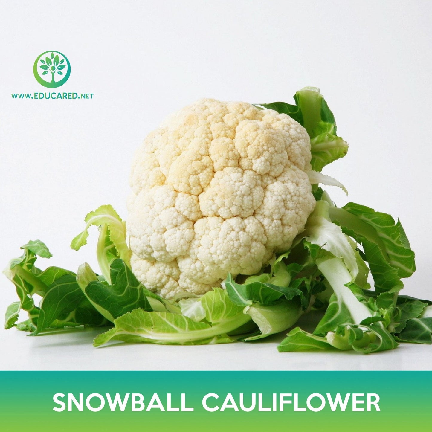 Snowball Cauliflower Seeds