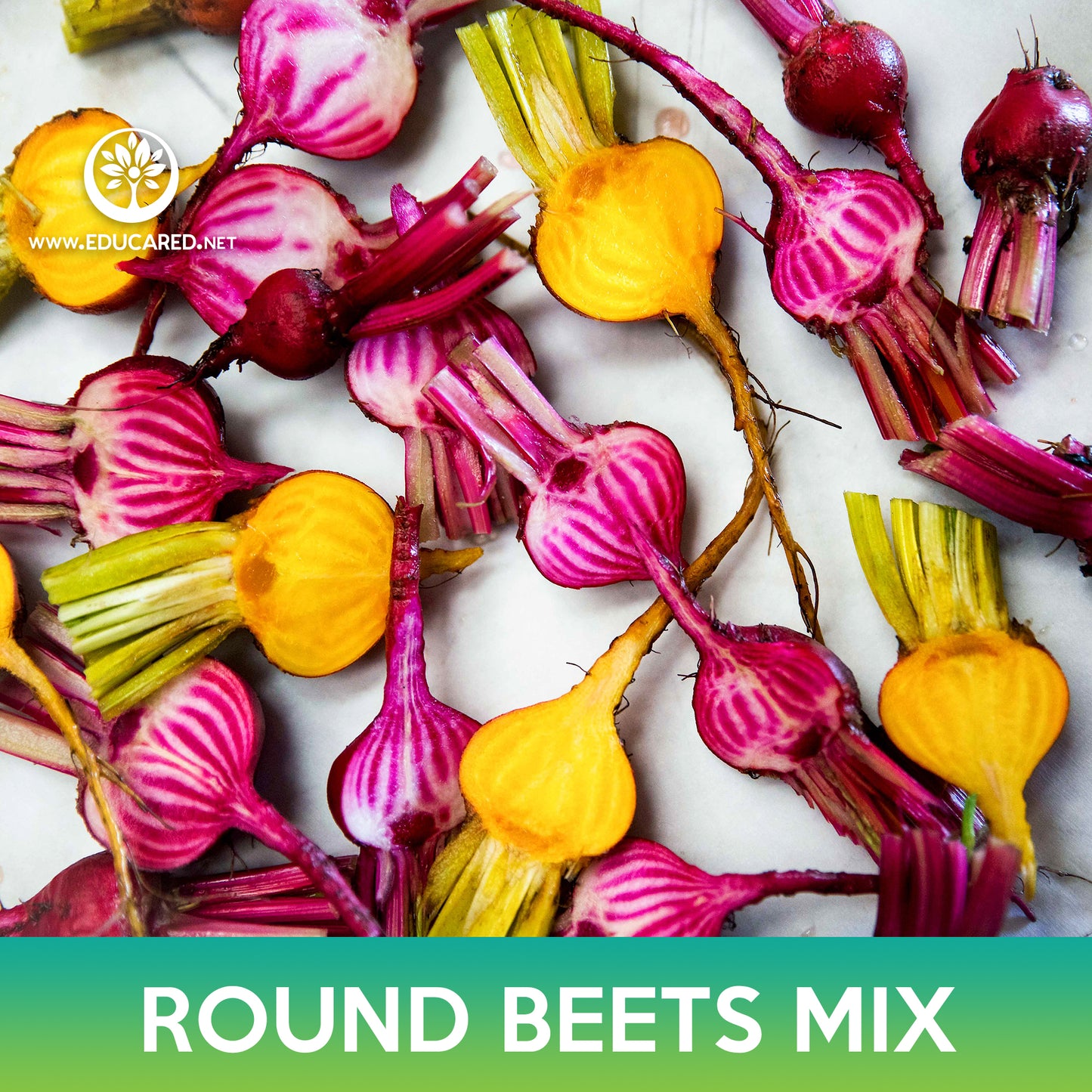 Round Beets Mix Seeds