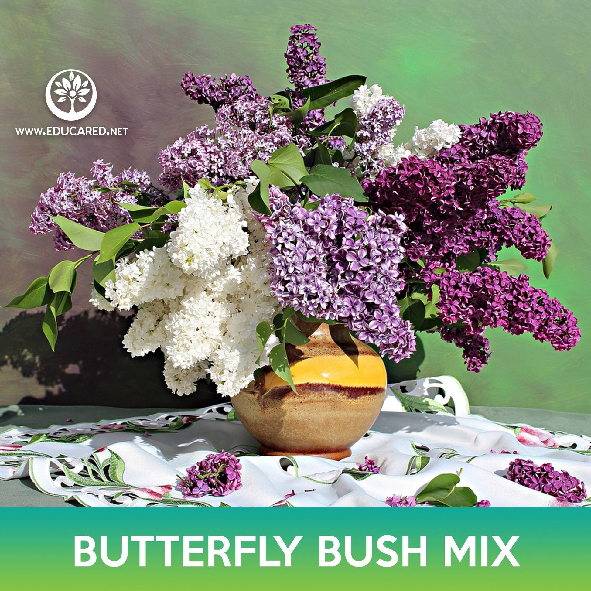 planting butterfly bush seeds Butterfly Bush Mix Seeds, Summer Lilac – Educared