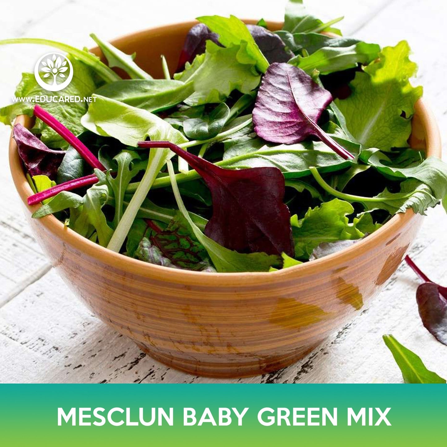 Mesclun Baby Green Mix Seeds