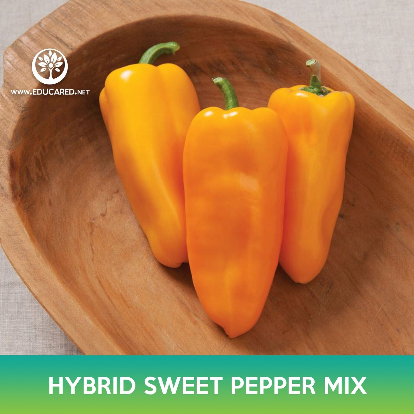 Hybrid Sweet Pepper Mix Seeds, Aura Pepper And Glow F1 Bell Pepper