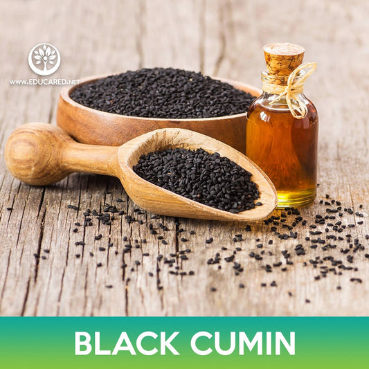 Black Cumin Seeds